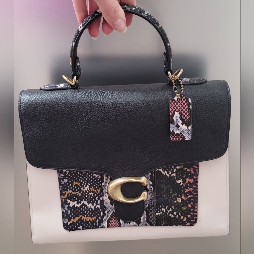 Rare Tabby Color block Snakeskin